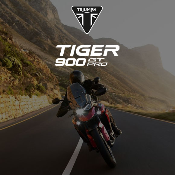 TRIUMPH: Modèles Tiger 900